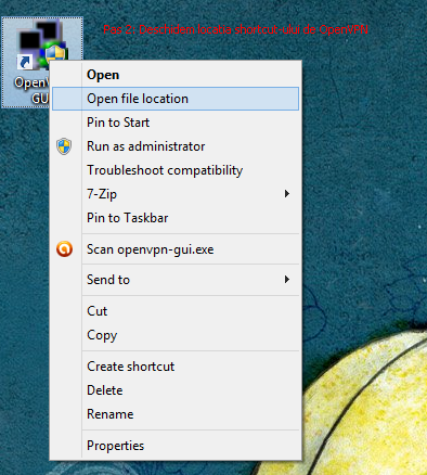 OpenVPN Windows 8